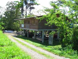 The House for Guests